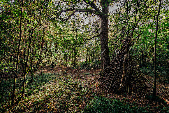 HEW_Woodland_Walk_Project_2021