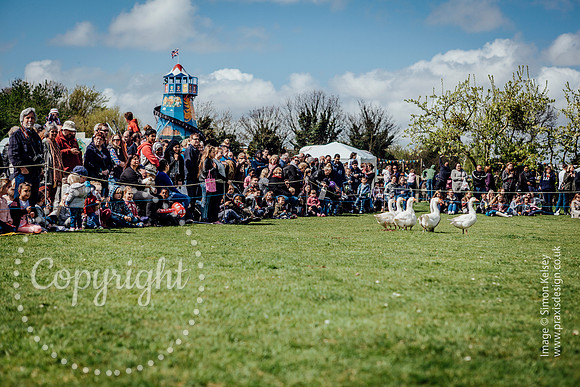 English_Festival_2015-0195