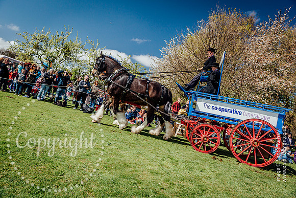 English_Festival_2015-0282