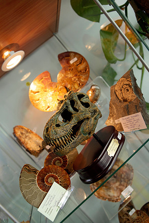 Simon Kelsey PraxisDesign